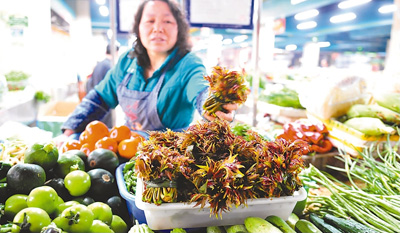 家中的餐桌上都摆些什么,餐桌平时摆点什么