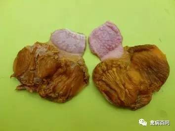 家禽黄曲霉菌的治疗,禽类霉菌预防药有哪些