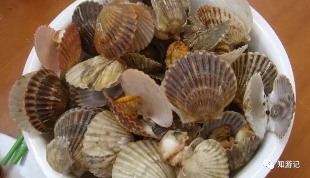 秦皇岛海鲜大排档,秦皇岛海鲜美食攻略