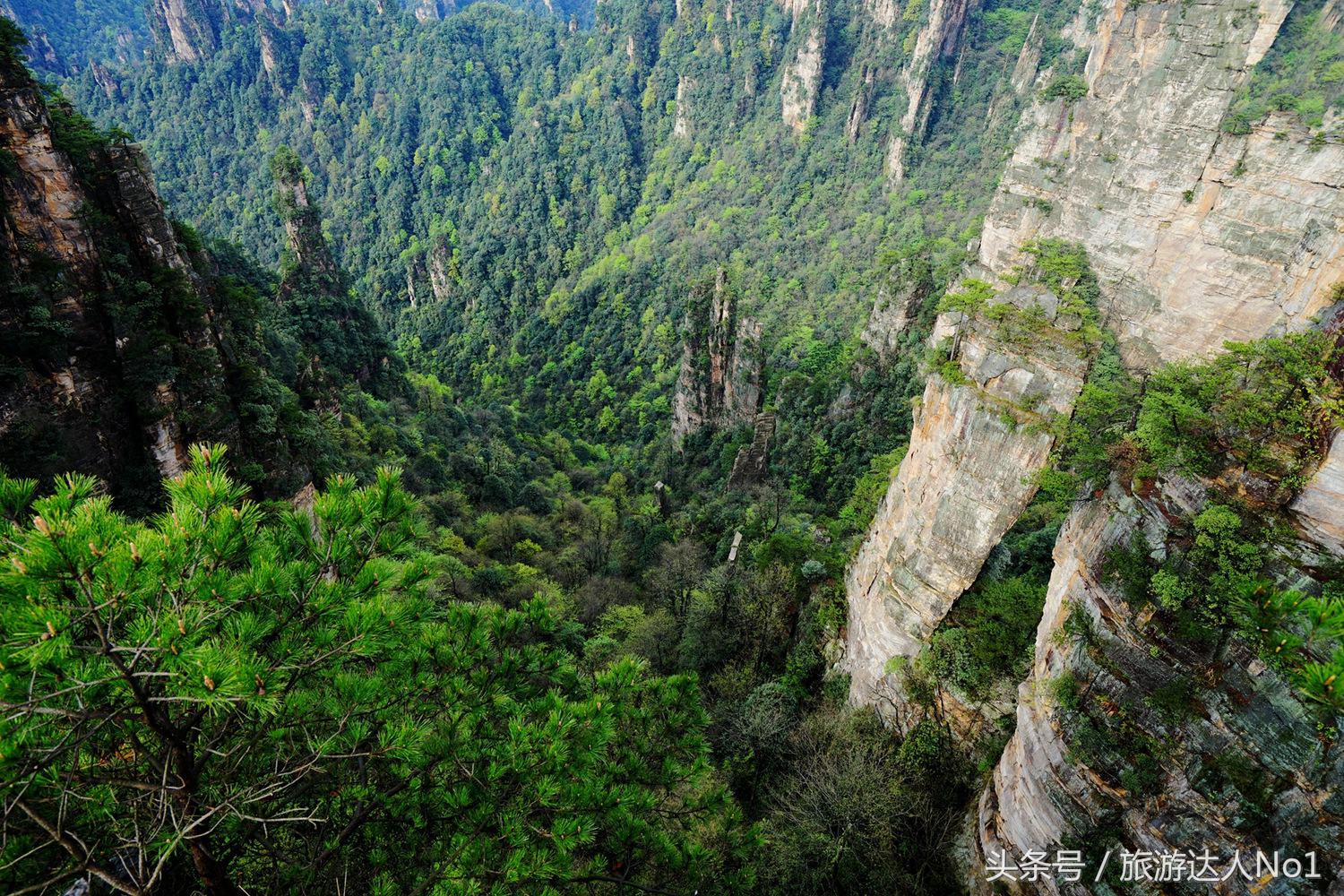游记张家界8天旅游详细攻略,张家界天门山森林公园美景游记