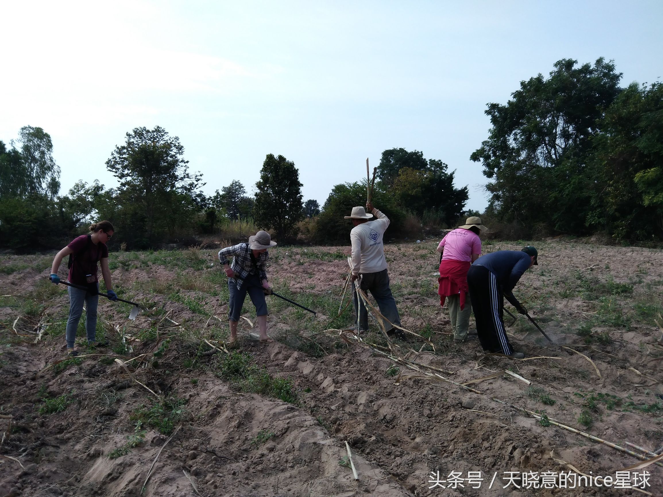 泰国大象旅行记,泰国旅游跟大象近距离接触