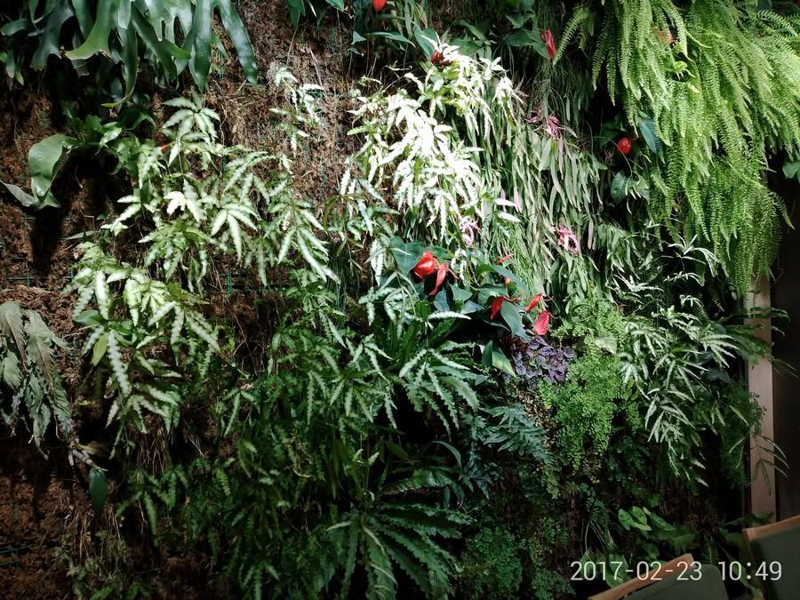 4000mAh+6GB运存!仅售1399的360手机N5评测