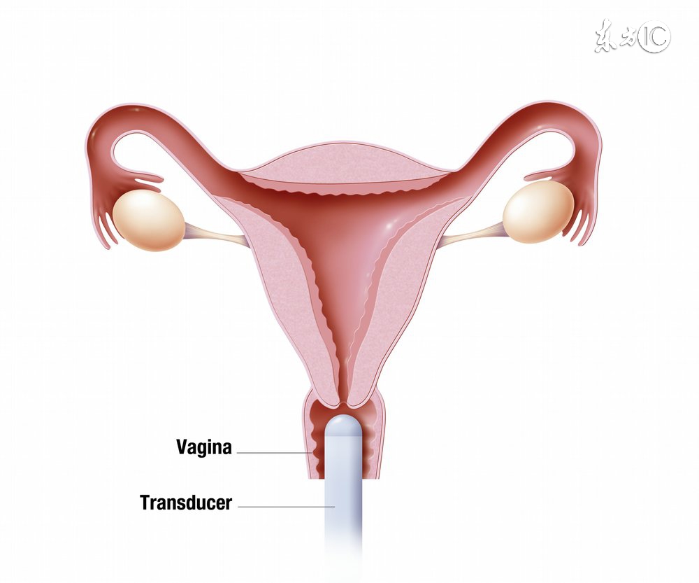怀男孩女孩酸碱性的区别,生男孩女孩跟水质有关吗