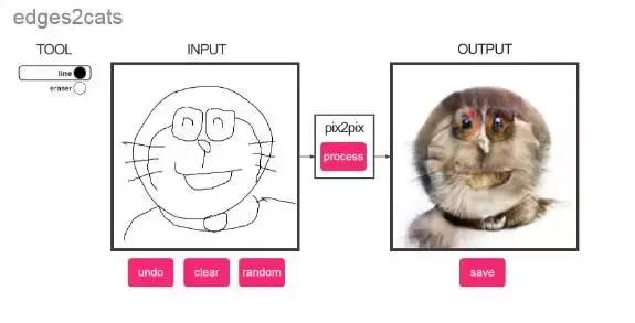 年轻人,想不想亲自去拍个猫片呀!