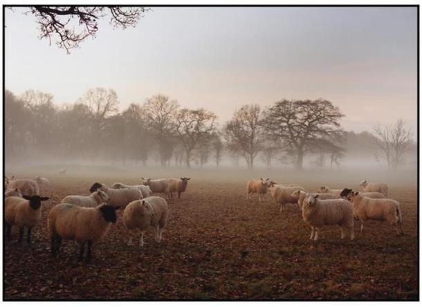 burberry2017春夏时装周,burberry时装周视频