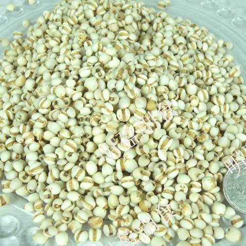 体内湿气重怎样祛除瘦小肚子,体内湿气重怎样祛除女人