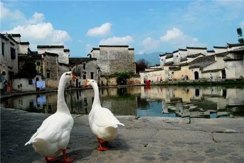 安徽宏村古镇有什么好吃的,黟县宏村旅游必备美食有哪些