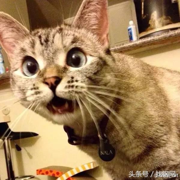 钢材销售员的一天，简直太形象了！笑喷……