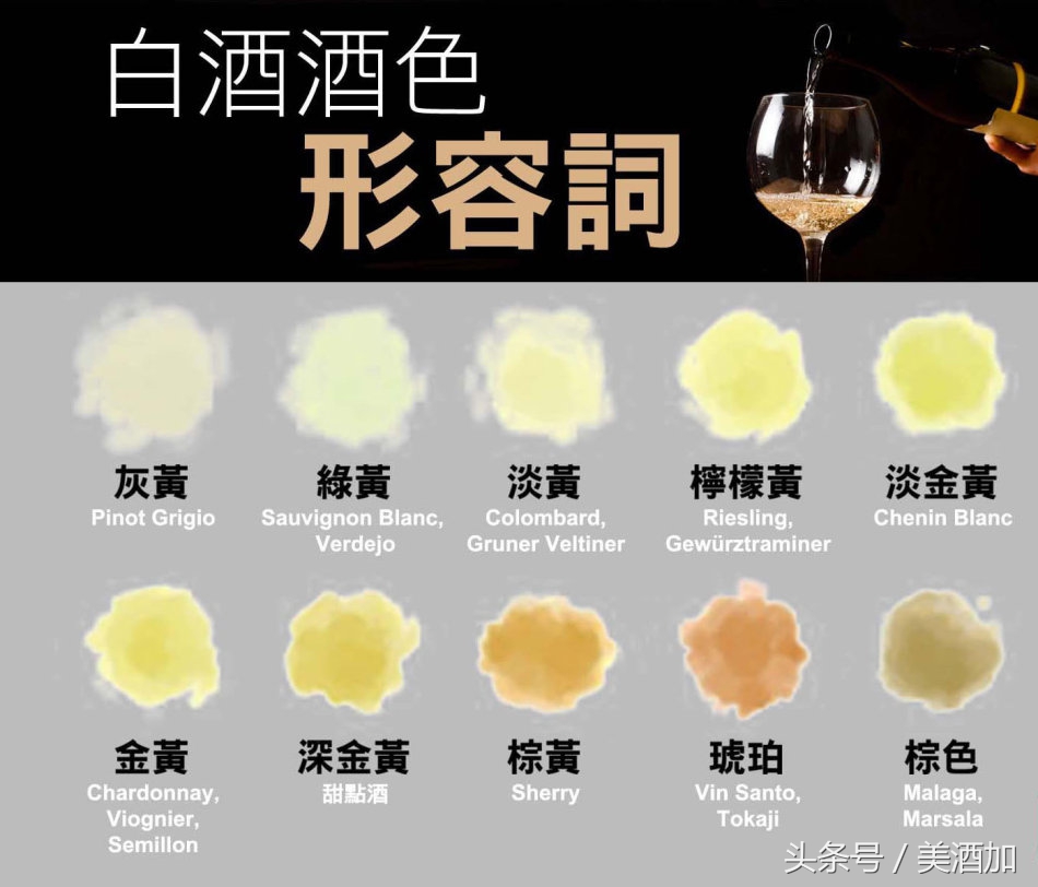 一直被全世界冤枉的白葡萄酒,等你来评理