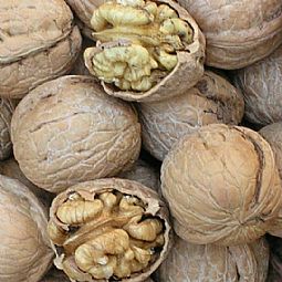 孕期知识大全及注意事项书,孕期检查项目时间表注意事项