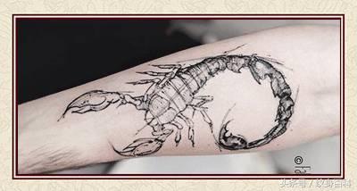 粉丝求图,粉丝求素材原图怎么回复