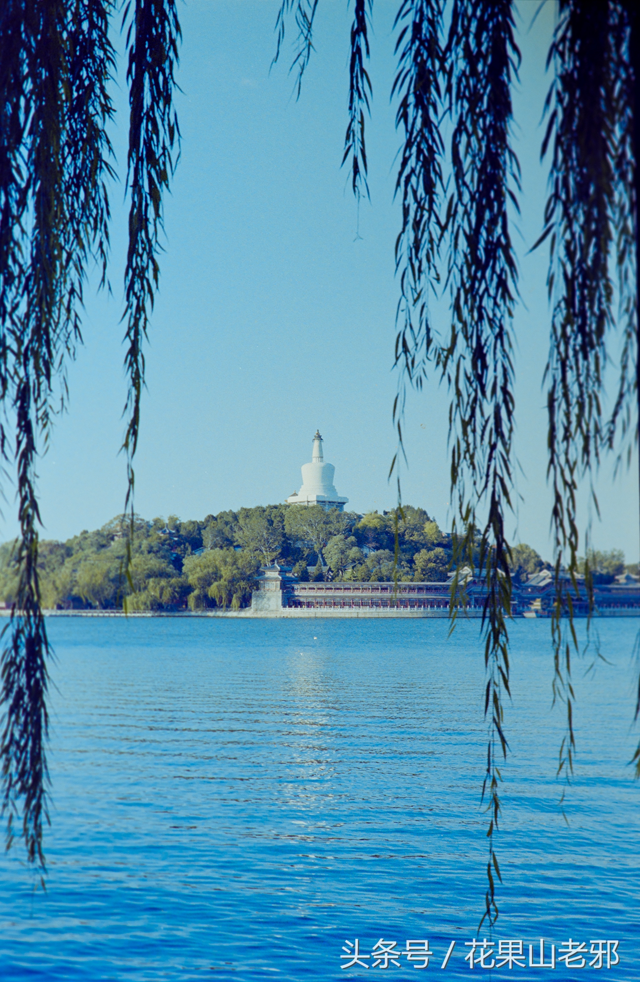 怎样用x光胶片翻拍人像底片,翻拍胶片底片如何处理