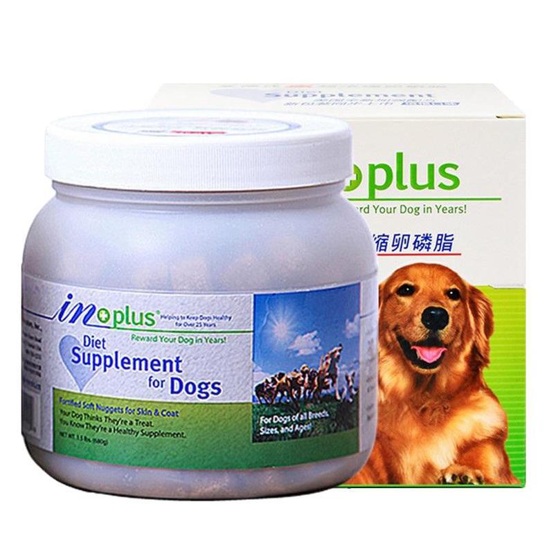 贵宾犬怎么饲养,贵宾犬如何饲养好