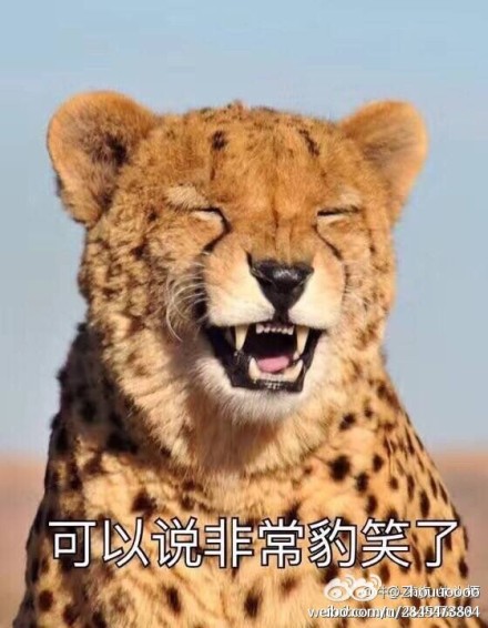 村子修路发现恐龙化石,老人挖出恐龙蛋化石