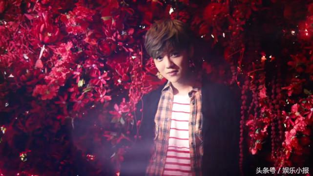 鹿晗自曝童年,鹿晗的心酸经历