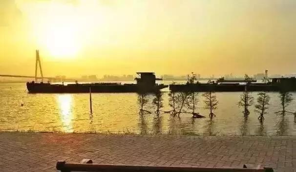 武汉野炊地点推荐,武汉周边烧烤野炊好去处