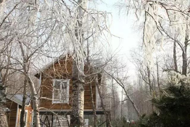 内蒙古通辽市奈曼旗沙漠旅游景点,内蒙古通辽沙漠旅游景点