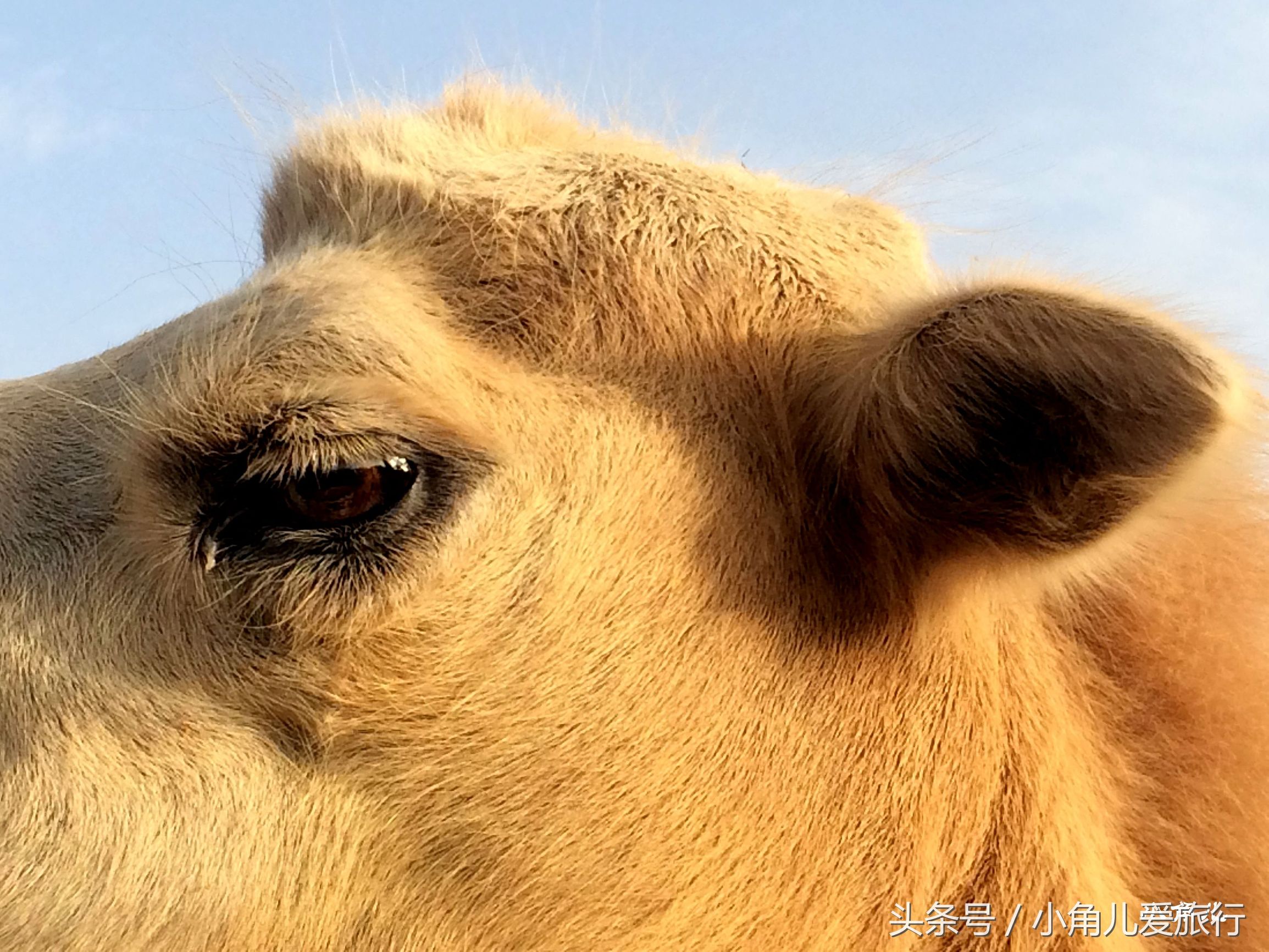 2015，七月的行迹——自驾青甘宁（九）甘肃，敦煌