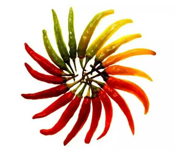 你为什么长痘出油,你还在为长痘痘而烦恼吗