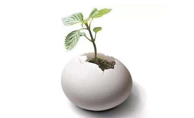 大单品营销引流方案,大单品营销模式