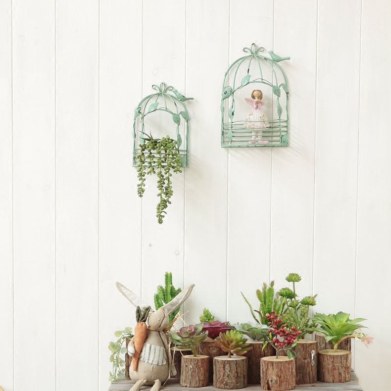 适合放大花的花架有哪些,花架用什么花比较好