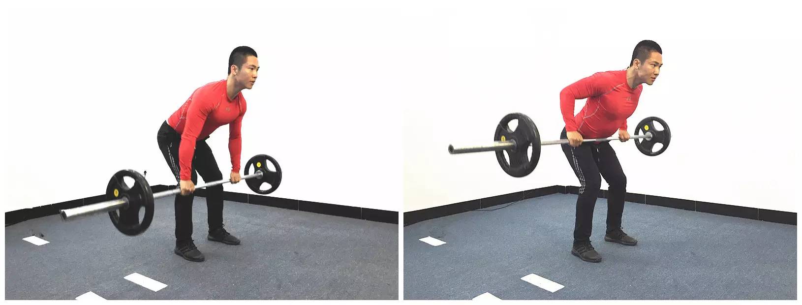 5x5训练法起源,新手可以用5x5训练法吗