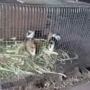 万事屋时光机开启,穿越回去看看一年前的你