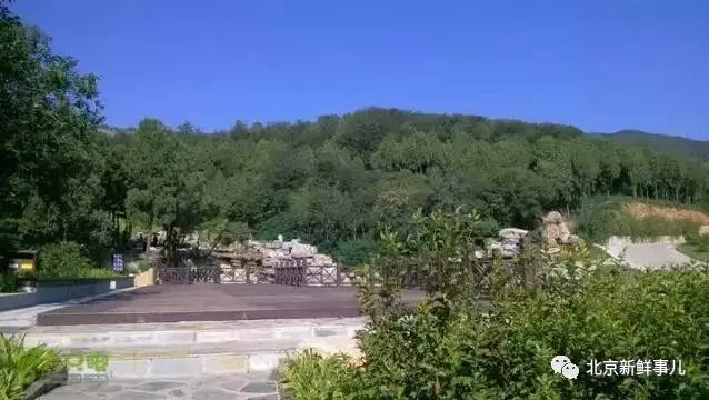 北京赏花踏青自驾游,北京国家森林公园踏青