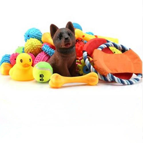 把狗狗独自留在家后的反应,把狗狗留在家里