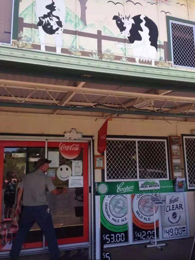 澳洲华人最怕什么,澳洲留学最后悔的十个专业