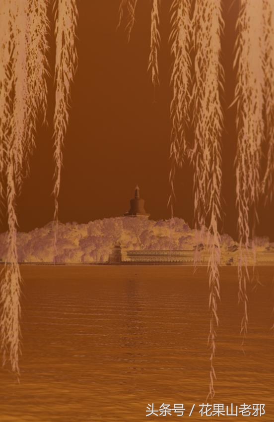 怎样用x光胶片翻拍人像底片,翻拍胶片底片如何处理