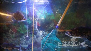 这道菜全魔都只有8家店会做,但它只给这5个生肖打折!