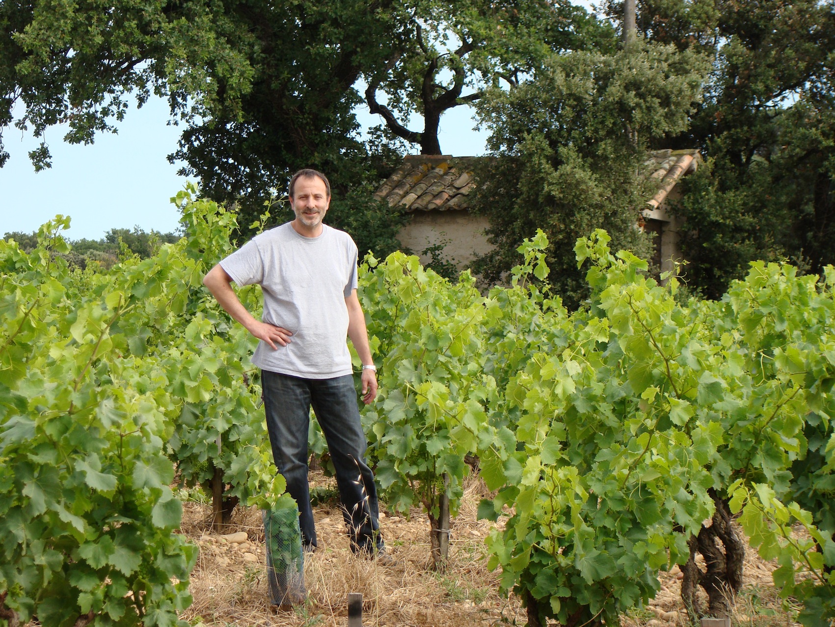 中端名庄酒推荐,榜单法国10大性价比最高的名庄酒