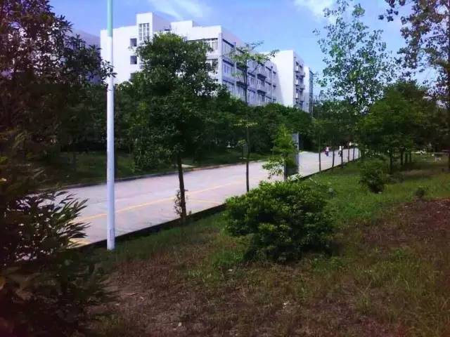 宜宾柏溪城中央健身房私教价格,宜宾最高端的健身房