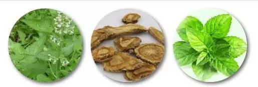 湿疹运动出汗能祛湿气么,湿疹如何除湿止痒