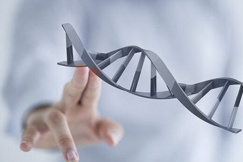 贝瑞和康基因重组,贝瑞和康生物技术有限公司前景