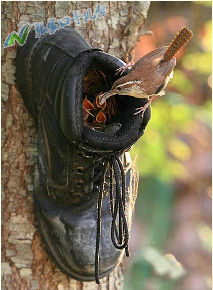 张家口新闻播报视频,张家口手机台新闻联播