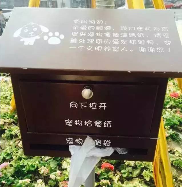 成都有哪些商场值得去,成都可以带宠物玩耍的地方