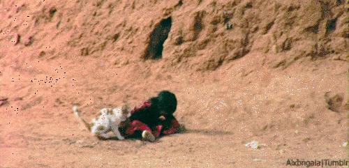 想当年,大公鸡它竟然啄了我的……!