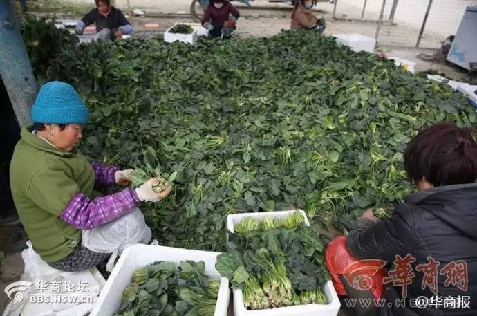 路边测尾气显示超标是怎么回事,车辆通过遥感尾气检测显示合格