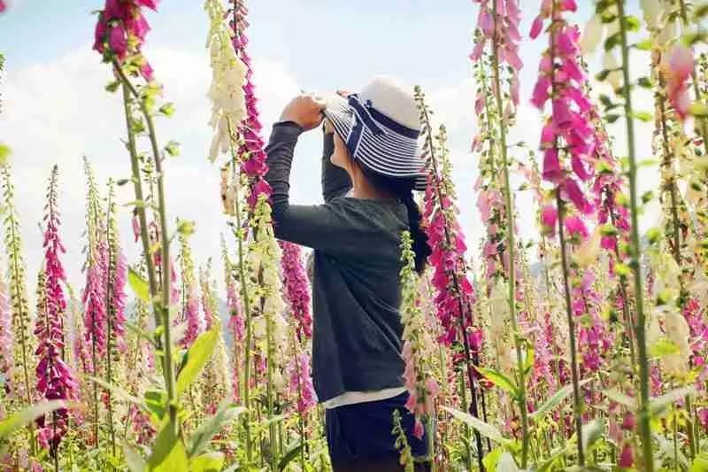 你,为什么离不开石柱!