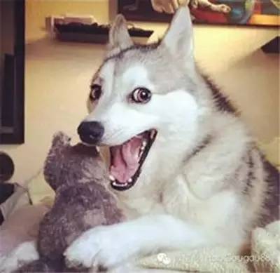 怎么撩兵哥哥比较容易上钩,如何一招撩到喜欢的男生