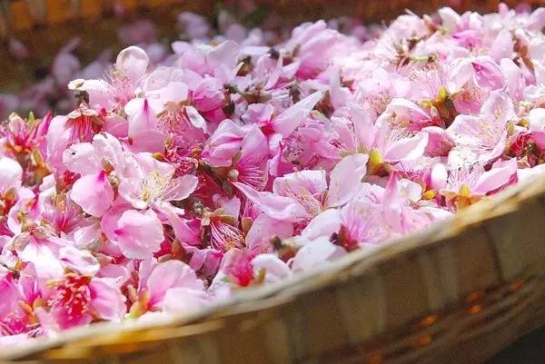 一口鲜澈的桃花醉，仿佛春色就在唇边