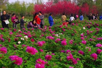 春暖花开踏青正当时完整版,春暖花开踏青季攻略