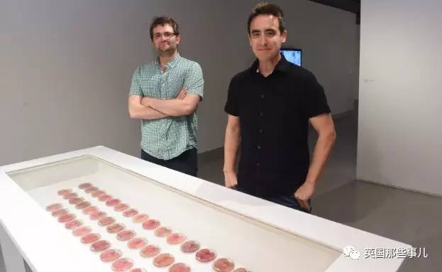 在苹果片上“种”出人耳？！这不是恐怖故事，是脑洞大开的医学新方向啊喂！