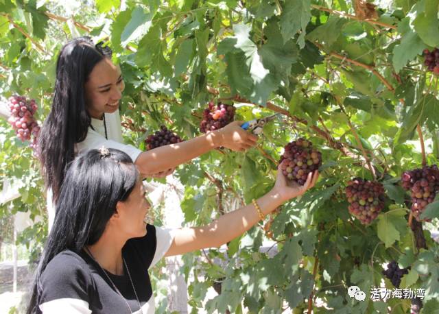 献给豁达善良知性的女人,献给所有温柔善良的女性