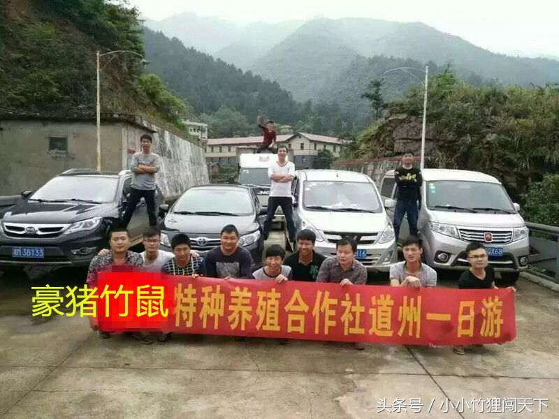 竹鼠养殖是骗局吗,竹鼠养殖加盟代理