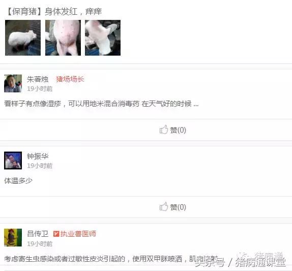 猪疥螨病和猪驱虫的有效防治方案！