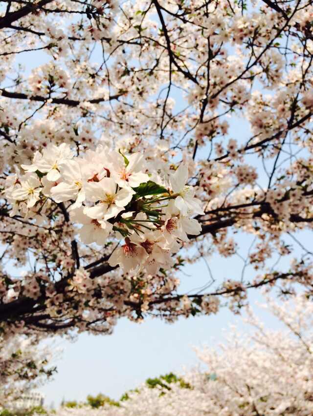 女王节到了给女王一个惊喜,女王节快到了怎么和妈妈过