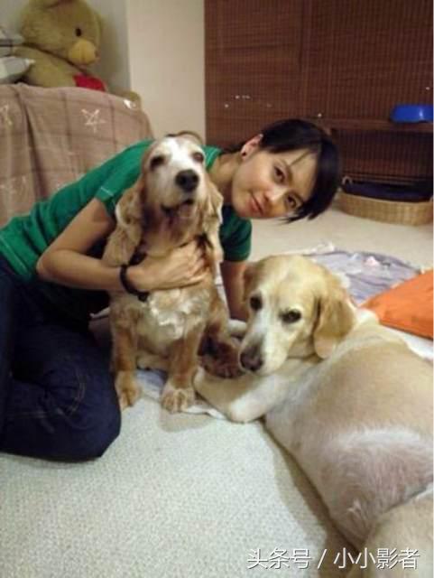 女明星素颜大比拼古力娜扎,中韩女星同框对比照